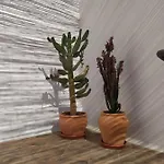 Casa Mocan Проживание в семье *