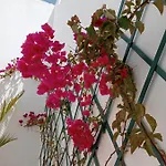 Casa Mocan * Арресифе