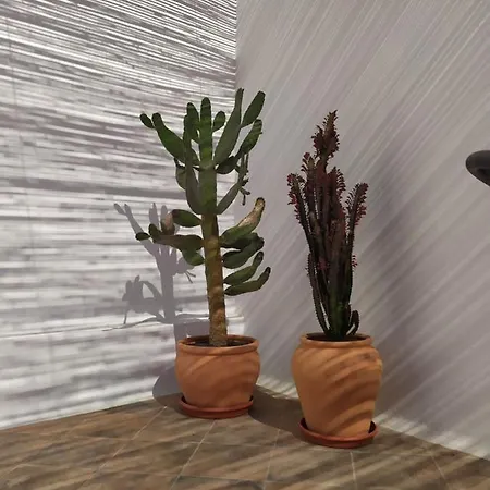 Casa Mocan Privatunterkunft *