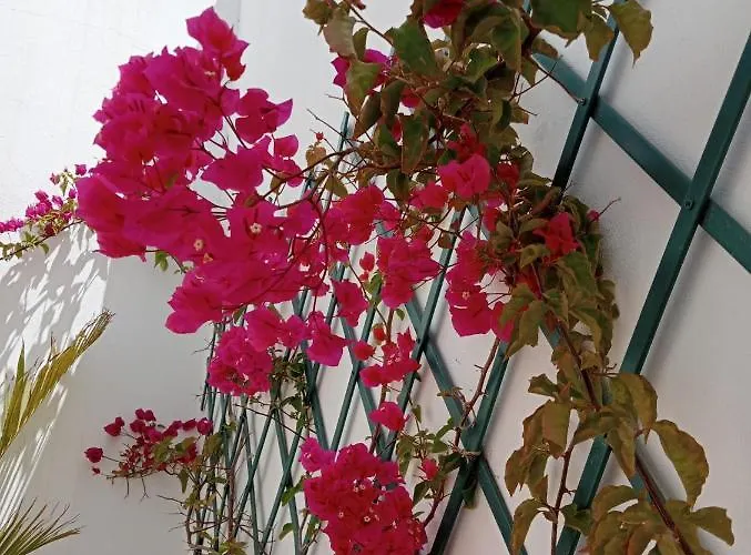 Casa Mocan * Arrecife (Lanzarote)