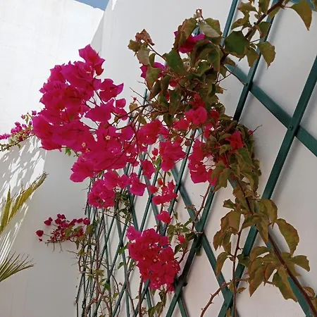 Casa Mocan * 아리시페