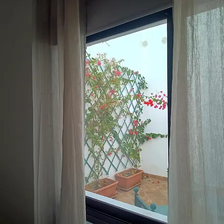 Casa Mocan ホームステイ アレシフェ