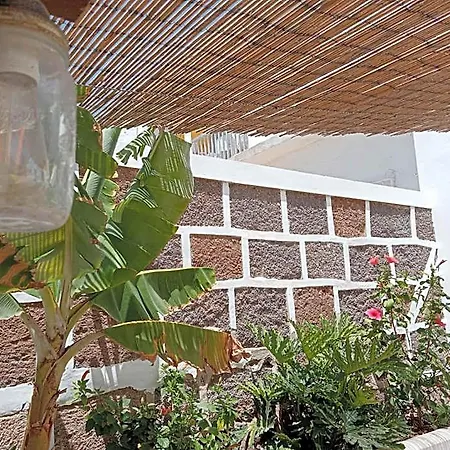 Casa Mocan