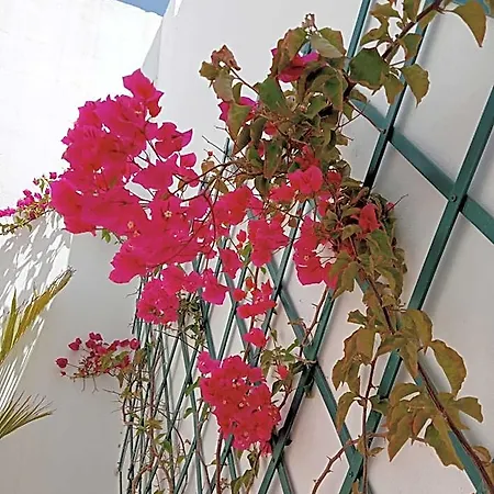 Casa Mocan *