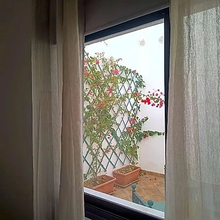 Accommodatie bij particulieren Casa Mocan *