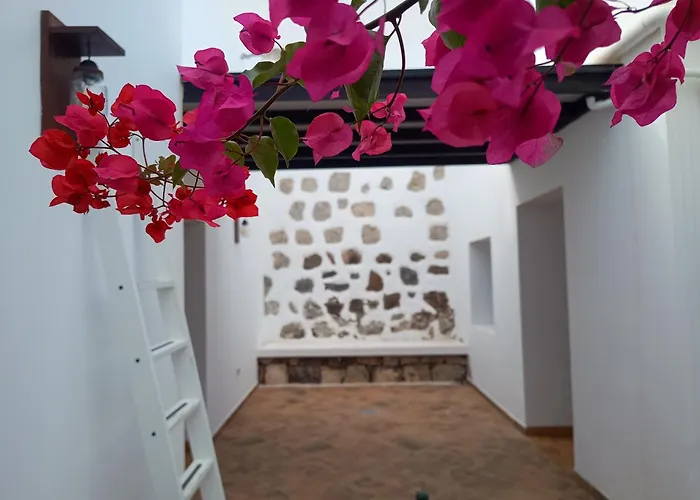 Casa Mocan Alloggio in famiglia *