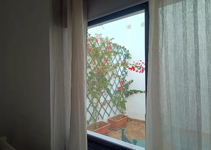 Casa Mocan ホームステイ アレシフェ