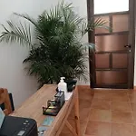 Casa Mocan Séjour chez l'habitant Arrecife (Lanzarote)